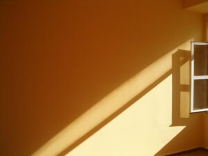 pexels drmakete 48828